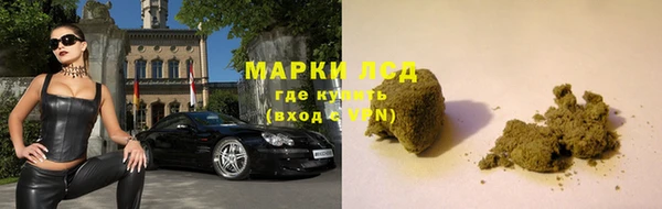 прущие грибы Абаза
