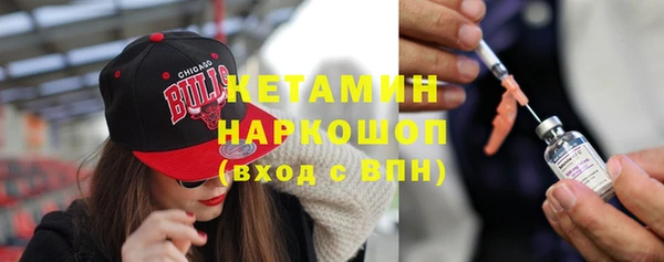 прущие грибы Абаза