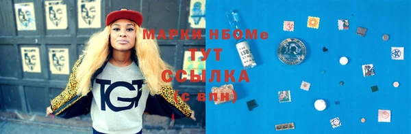 амф Инсар
