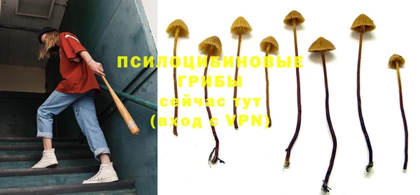 стаф Новодвинск