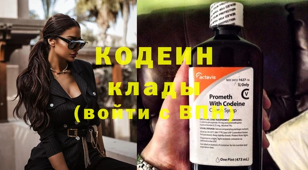 ГАЛЛЮЦИНОГЕННЫЕ ГРИБЫ Иннополис