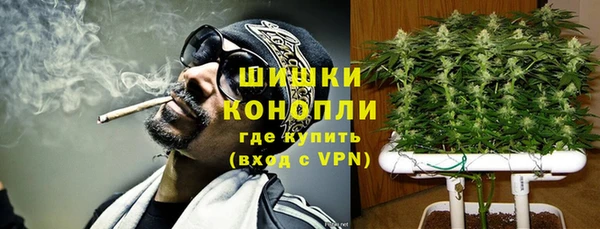 стаф Новодвинск