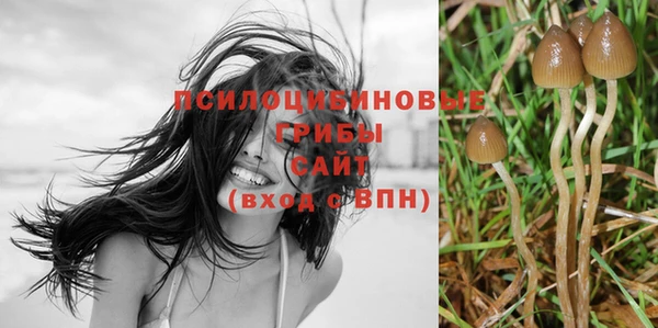 дурь Новокубанск