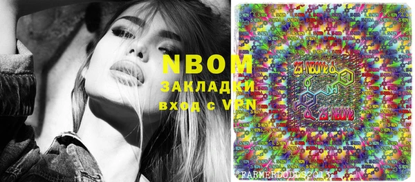 прущие грибы Абаза